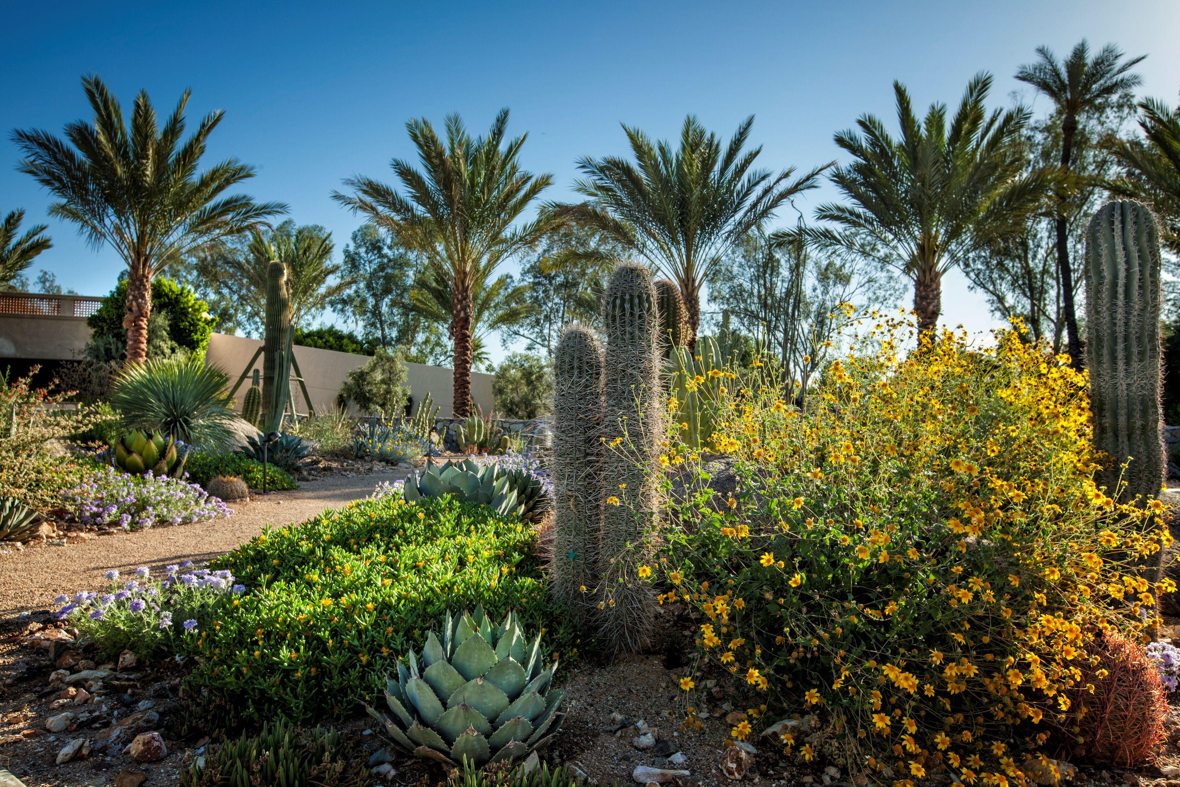 The Scottsdale Resort & Spa, Curio Collection By Hilton Exterior photo